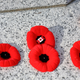 Illustration for article titled 2018 Remembrance Day at Mountain View Cemetery